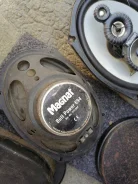 Magnat ����