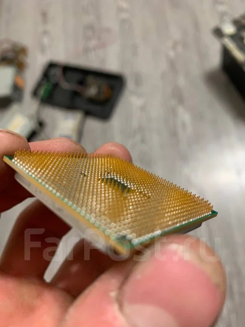 AMD ����