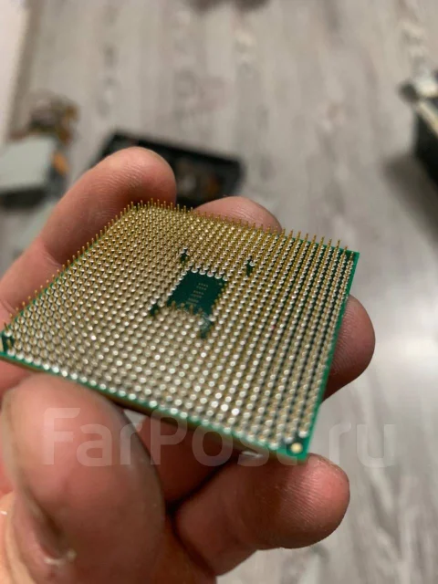 AMD ����