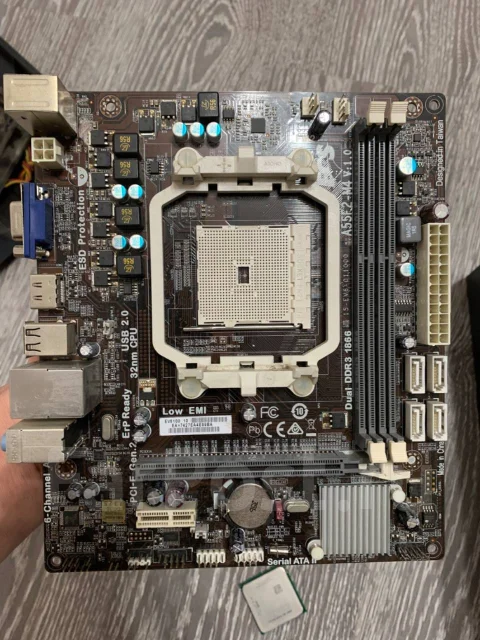 AMD ����