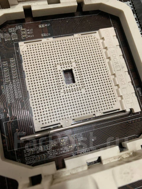 AMD ����