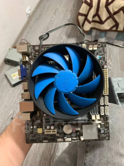 AMD ����