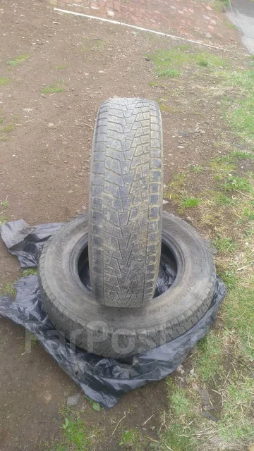 Bridgestone Winter Dueler DM-Z2. ������, ��� �����, �/�, ����� 60 % ����