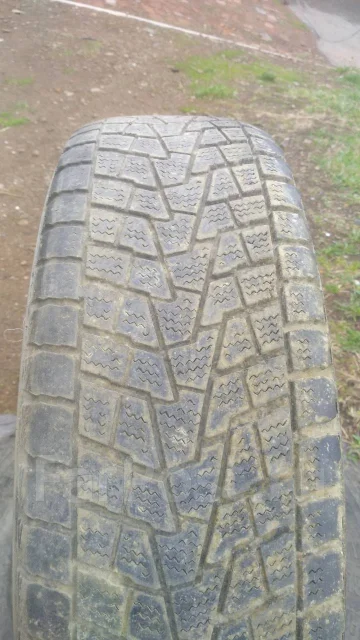 Bridgestone Winter Dueler DM-Z2. ������, ��� �����, �/�, ����� 60 % ����