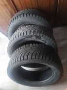 WolfTyres Nord. ������, ����������, �/�, ����� 30 % ����