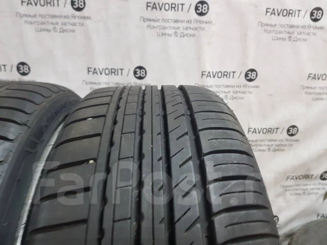 Kinforest. ������, �/�, ����� 10 % ����