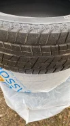Foman Frozenero. ������, ��� �����, 2020 ���, �/�, ����� �� 5 % ����