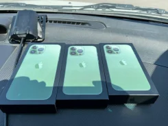 Apple iPhone 13 Pro. �����, �������, 3G, 4G LTE, 5G, Dual-SIM, ����������, NFC ����