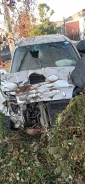 Suzuki Kei ����