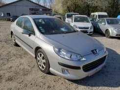 Peugeot 407 ����