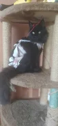 �����. ����