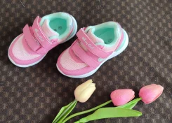 ���������. 22.5 ����