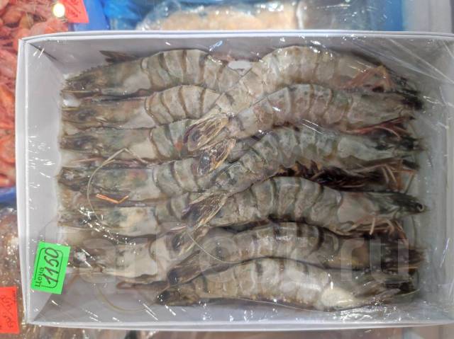 Лангустины - Рыба и морепродукты в Уссурийске