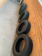 GT Radial Champiro WinterPro. ������, ��� �����, 2016 ���, �/�, ����� 80 % ����