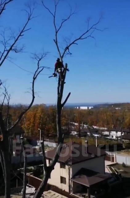 Пилим деревья, Спил деревьев, Санитарная обрезка, Спилить дерево ...