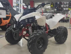 Motax ATV Raptor. ��������, ��� ������� ����