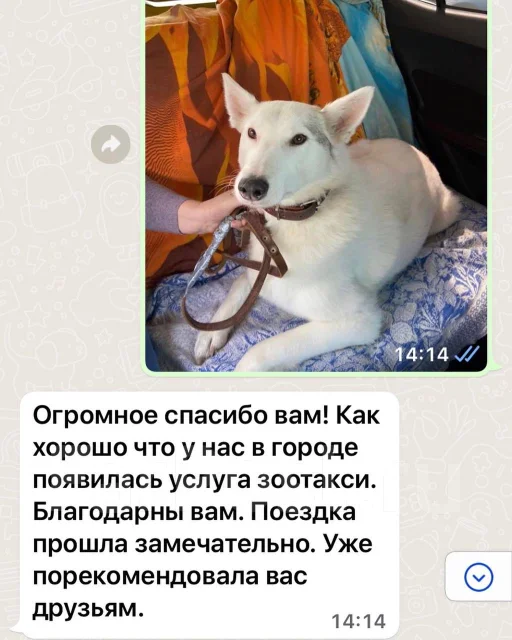 ��������, ��������� ��������. ����