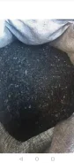 �����. ����