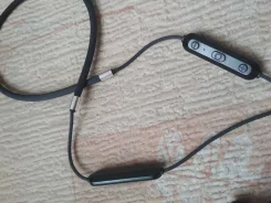 Acer ����