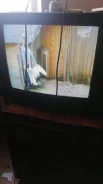 JVC ����