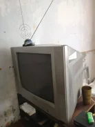 Avest 54��-03. OLED ����