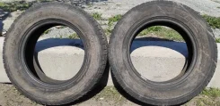 Bridgestone Winter Dueler DM-Z2. ������, ��� �����, �/�, ����� 50�% ����
