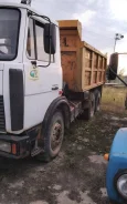 ���. . ��� ����� �� ����������� ����