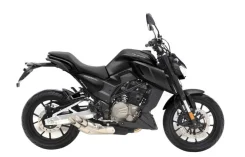 Regulmoto Alien Monster 300. 300����. ��., ��������, ���, ��� �������. ��� ����� �� ������������� ����