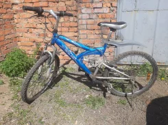 XDS ����