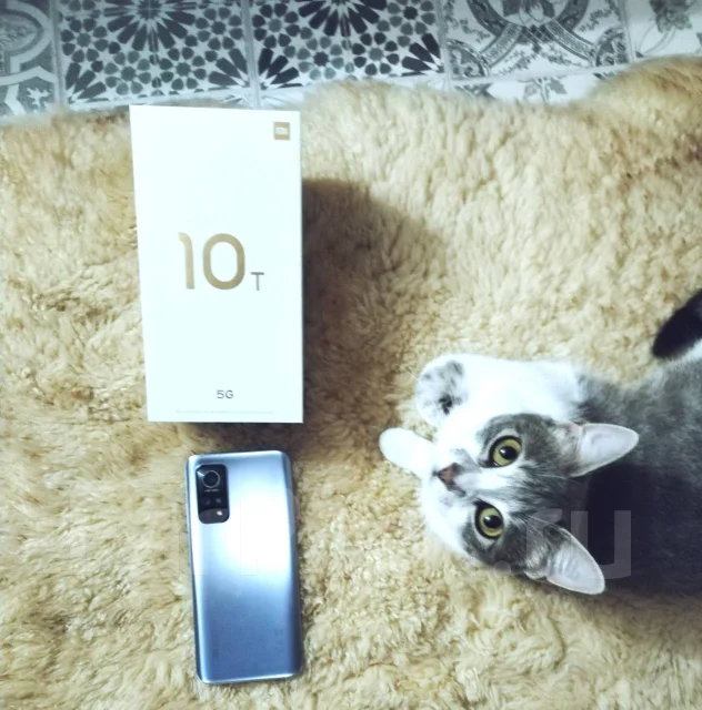 Xiaomi Mi 10T. �/� ����