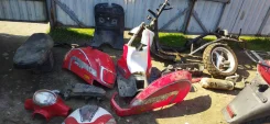 Racer Dorado ����
