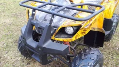 Motoland ATV 125S. ��������, ���� ���\���, ��� ������� ����