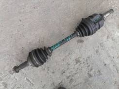 ������ ����� �������� ����