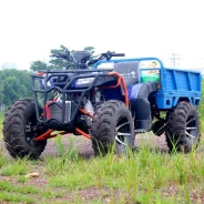 Motoland All Road 200. ��������, ��� ���\���, ��� ������� ����
