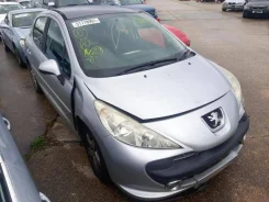 Peugeot 207 ����