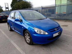 Peugeot 307 ����
