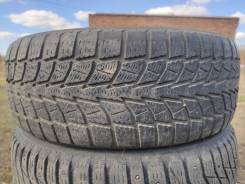 Bridgestone Blizzak Nordic WN-01. ������, ��� �����, �/�, ����� 60 % ����