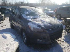 Ford Kuga ����