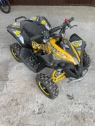 Bot Renegade 125. ��������, ��� ���\���, �� ����