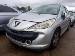 Peugeot 207 ����