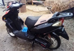 Irbis RZR. 170����. ��., ��������, ���������, ������ �� �� ����