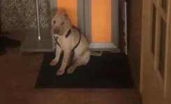 ������. ����