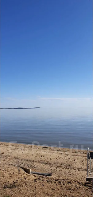 �����. ����