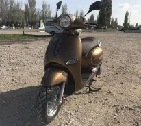 Promax. 200����. ��., ��������, ��� ���, ��� ������� ����