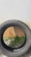 Dunlop SP Sport 2030. ������, 2014 ���, �/�, ����� 10�%. �������� ������ ����