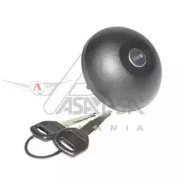 ������ ��������� � ������ Almera G15, Renault Logan 30539 ASAM 30539 ����