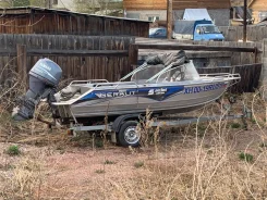 ������. 2015 ���, ��������� ���������, 60��.�., ������ ����