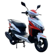 Vento City. 150����. ��., ��������, ��� ���, ��� ������� ����