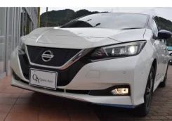 Nissan Leaf. ��������, �������������, �/�. ��� ����� �� ������������ ����