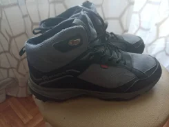 ���������. 38 ����